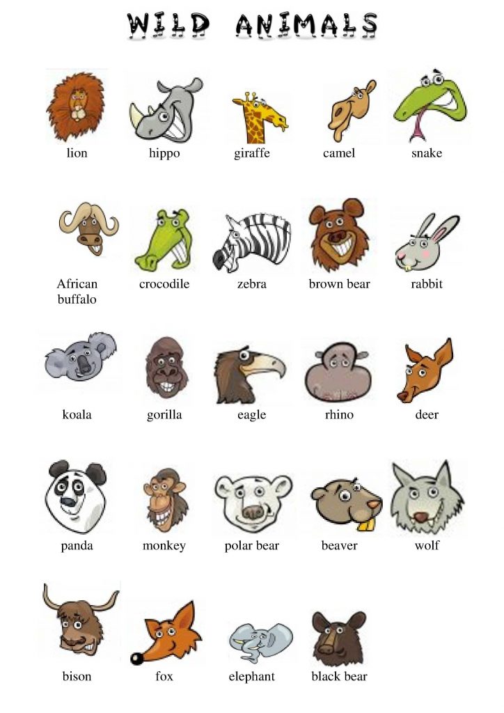 Animali selvatici in inglese